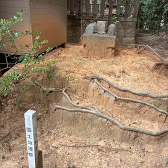 三角点は奥にあります。