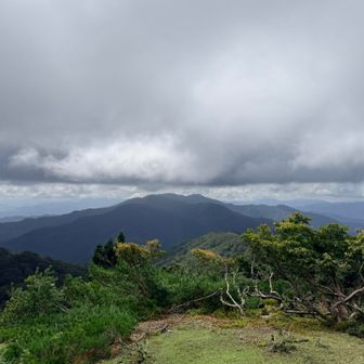 妙見山　藤無山