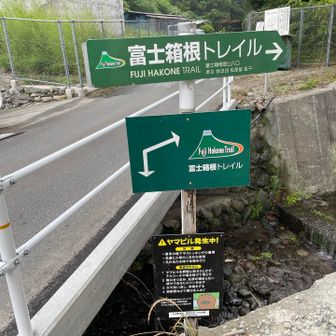 こちらも分かりやすい💁‍♀️