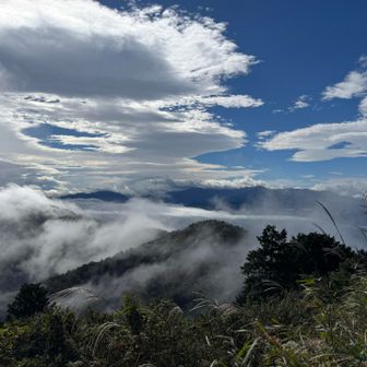 もうすぐ景信山頂
ガスの動きが幻想的で
こんな奥高尾初めて見ました
ずっと観ていた〜い✨

街側は☁️☁️
景信山頂は景色望めませんでした