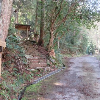 愛宕山への中央ルート登山口です
この先のミツマタを見に行ってここに戻ってきます