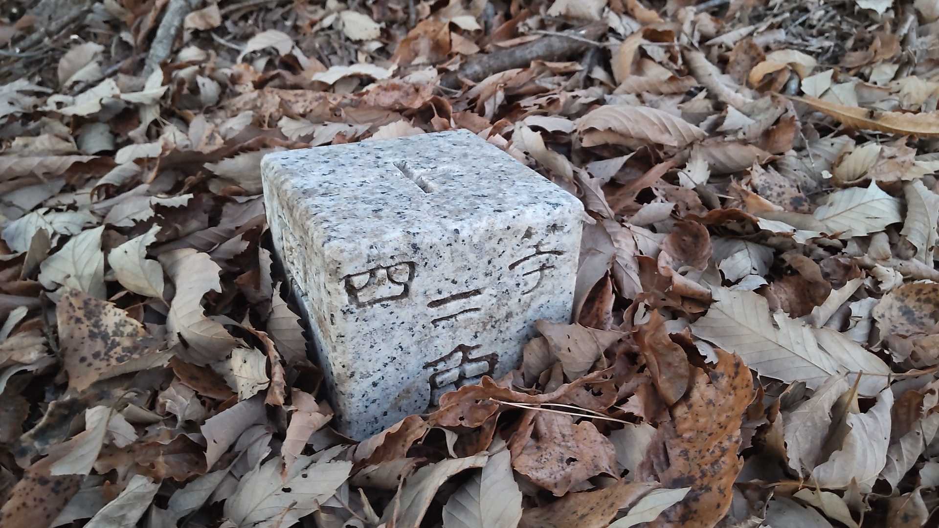 見つかって良かった。YAMAPの高ノ丸のランドマークはここだが、この三角点ではないでしょ…