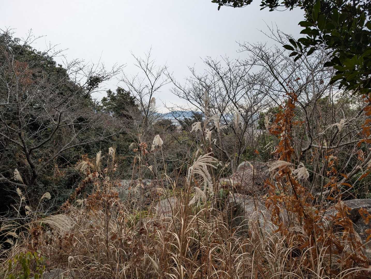 僅かに海が見える。