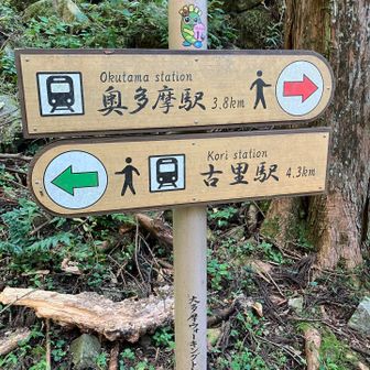 ちょうど半分くらい歩きました🚶‍♀️。