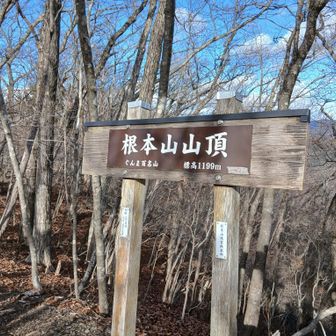 やっと根本山についた