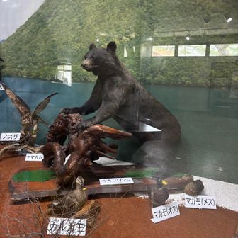 無事会わず