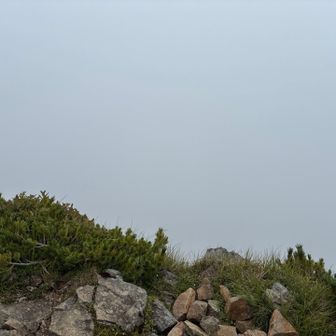 ギボシではこの通り