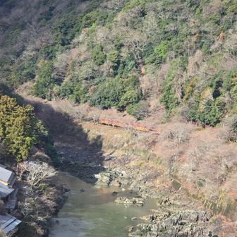 鴨川とトロッコ列車のビューポイント