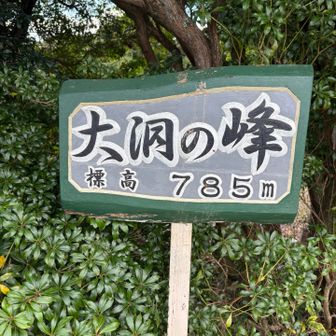 大洞の峰到着👍
この看板、レポで何度も見かけてましたが
ここだったのか😅
