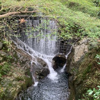 水量は多いです。