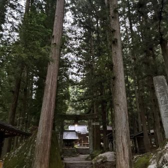 竹宇駒ヶ岳神社
御朱印ありますが、ワタシは御朱印帳持っておりませんので