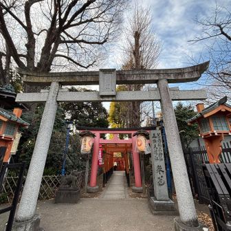 鳥居が並んでます⛩️⛩️⛩️