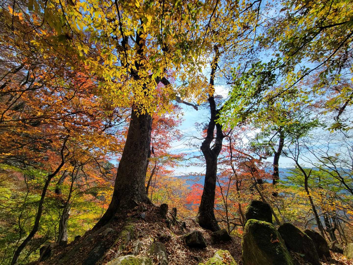 最━ヽ(○ﾟдﾟ○)ﾉ━━高