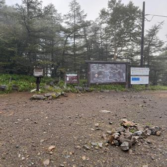 ナウキャストでは雲が映っていないのと霧も切れて明るくなってきたので出発。
しかし登山道に入ったところでまた雨が強く降ってきました。