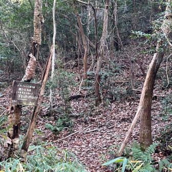 小野アルプスコンプリート