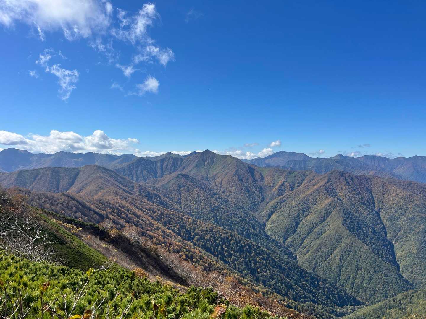 十勝幌尻岳登山口-十勝幌尻岳 往復コースの写真
