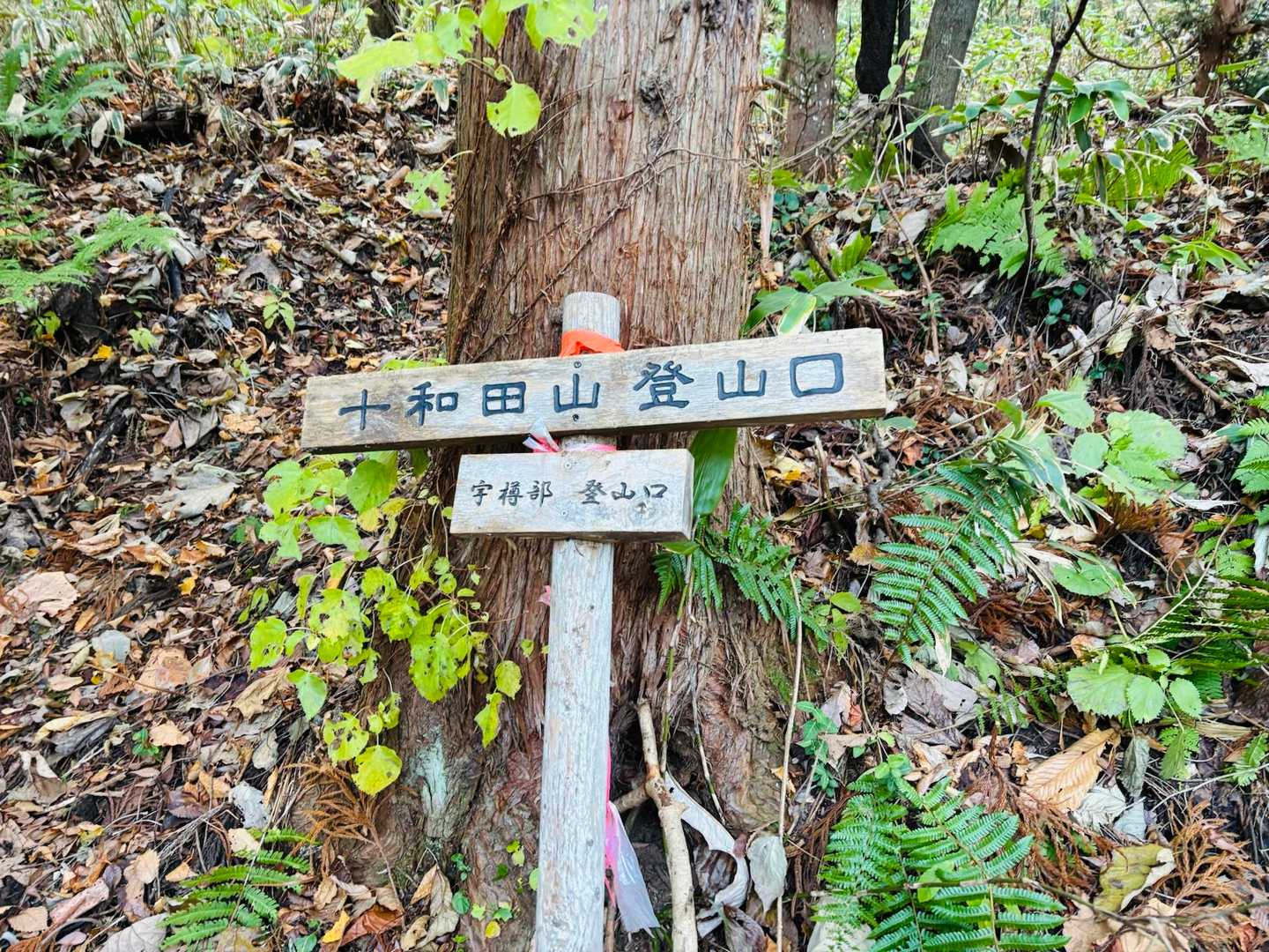 登山口
("ᐕ)ﾉⓈⓉⒶⓇⓉ 