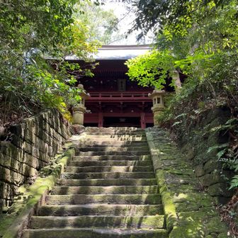 見えてきました
