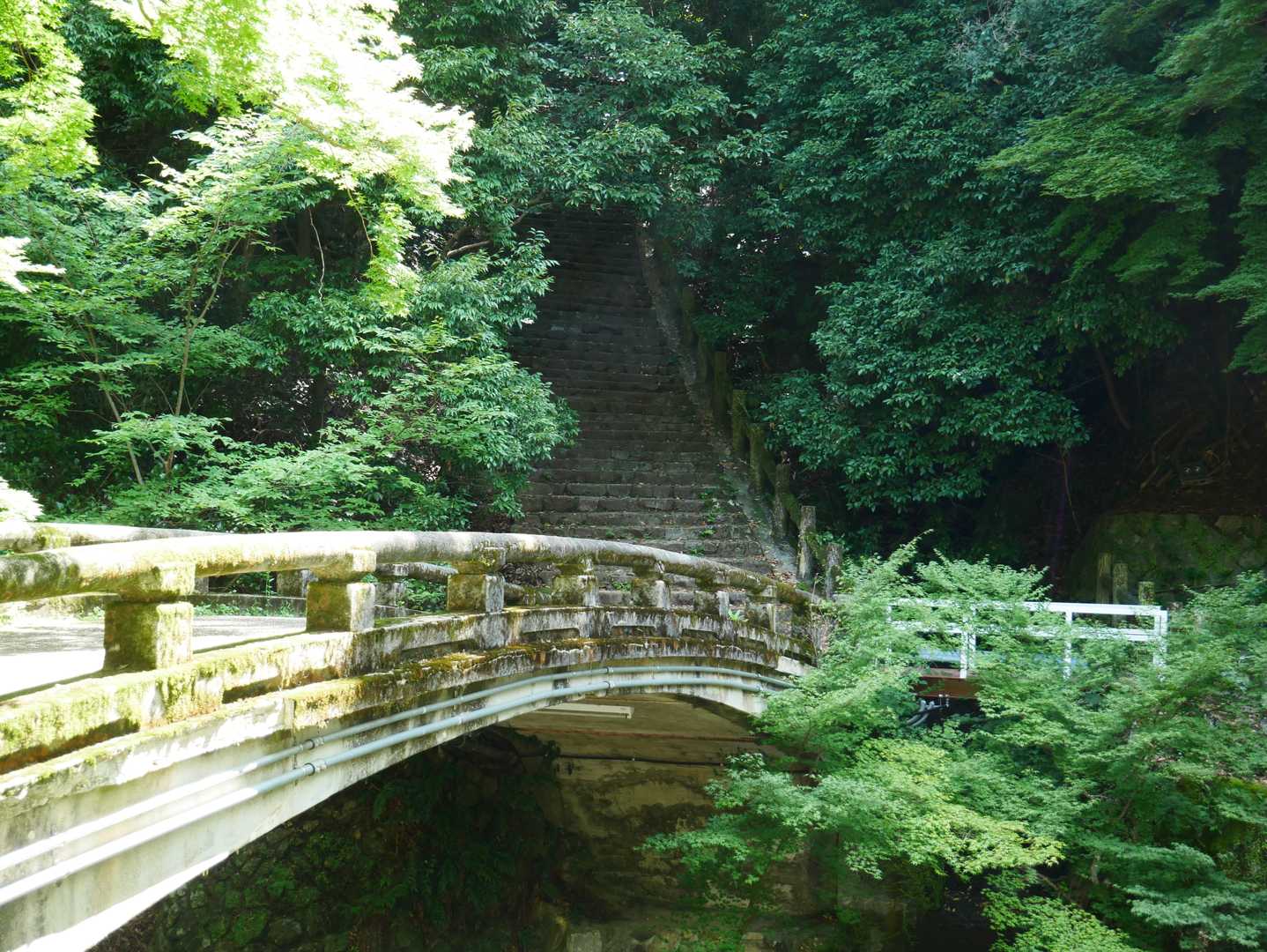 山のおもてなし｜箕面・東海自然歩道ハイキングの写真