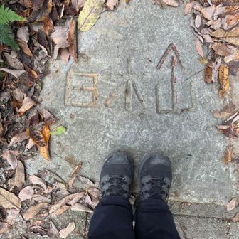 トレーニング🏋️‍♀️サボっちゃダメだね…反省🙏