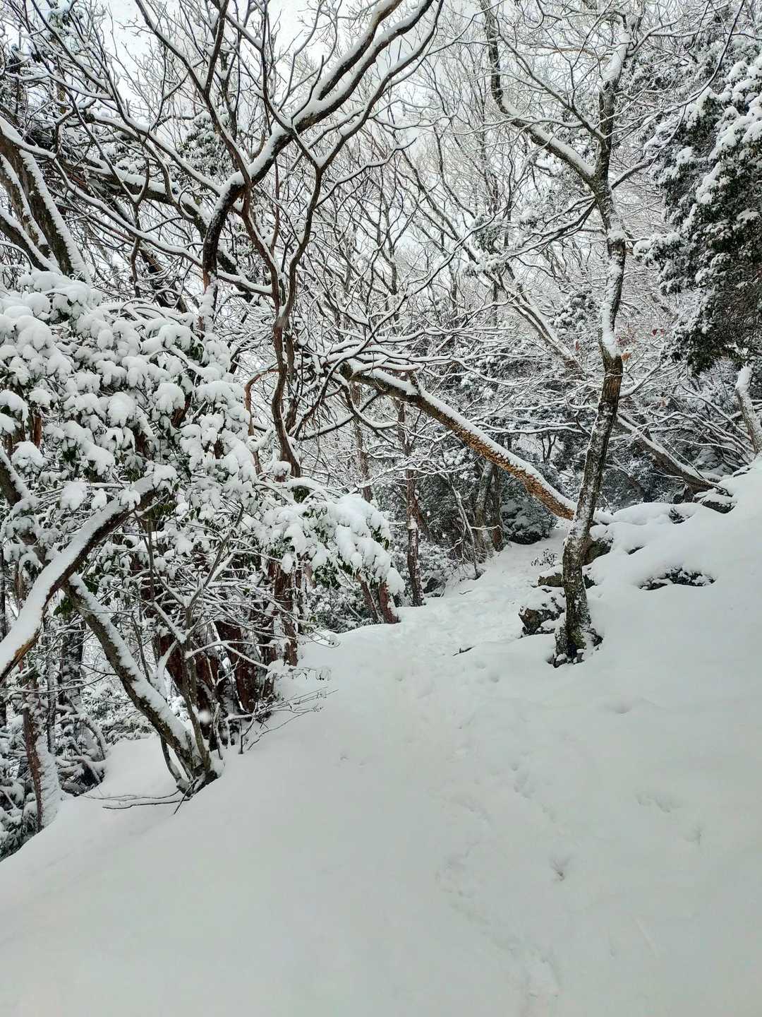 三方山-小倉山 往復コースの写真
