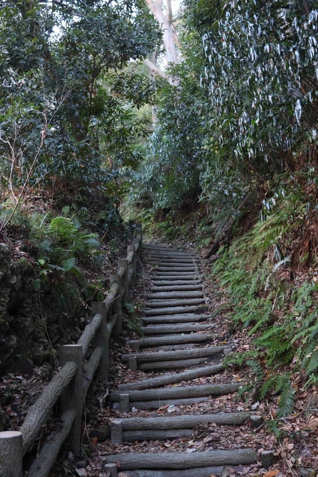 登山道の前半は階段地獄
けっこうあります