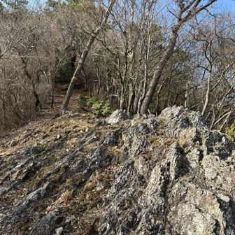 最後の岩場を上る。