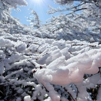 来年も怪我なく歩けるように！
と思ったら、帰りにチェンスパが気に引っかかって転けそうになった