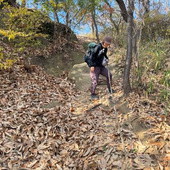 そしてまさかの激下り
葉っぱでズルズル