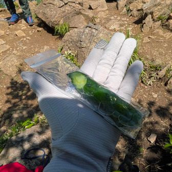 何と！
ここでキュウリの浅漬を頂きました😋🥒
なるほど〜
塩分補給によきですね🤔