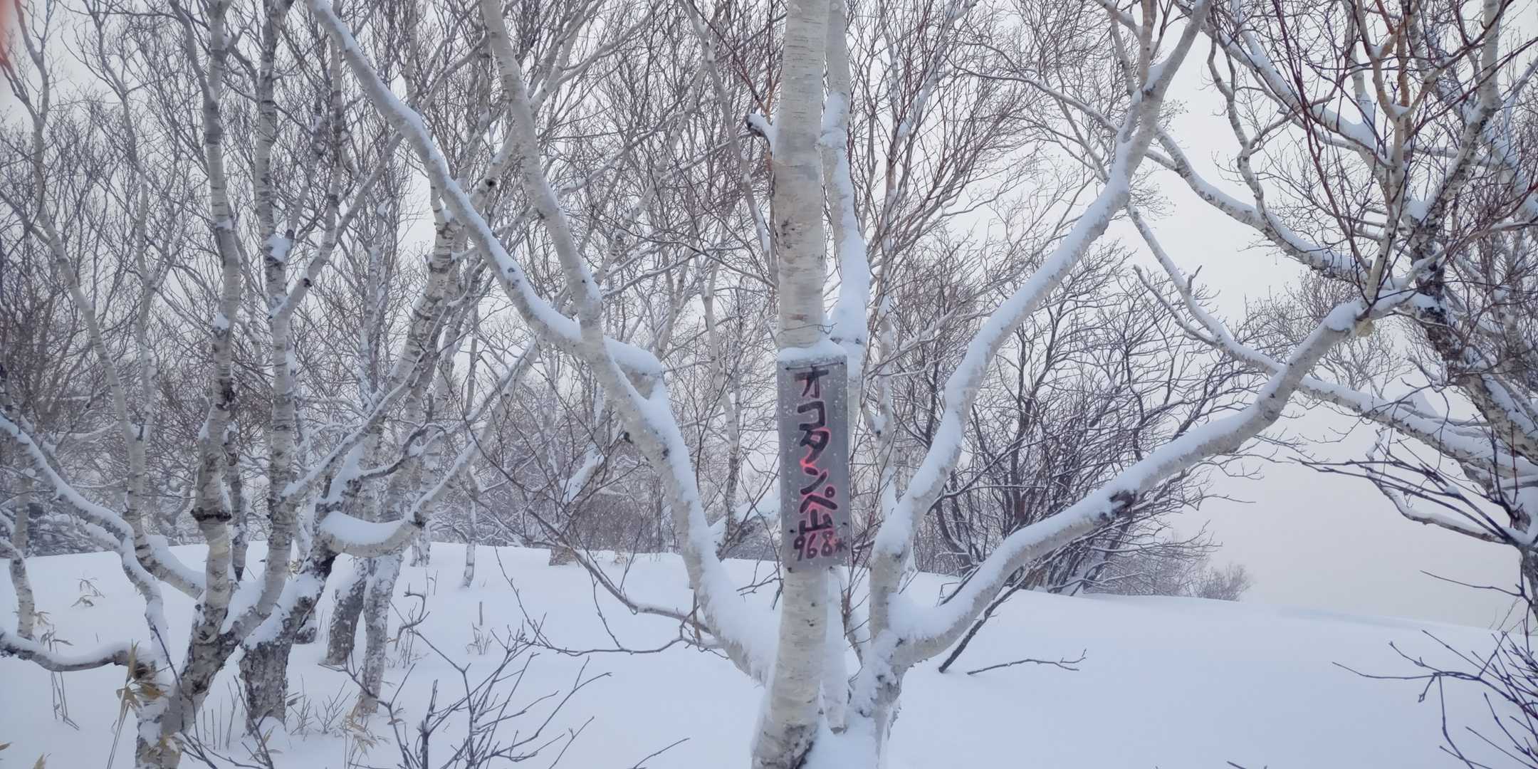 到着