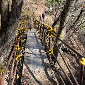 斜面をジグザグに降ると鉄の橋があった。
整備された歩きやすい登山道だった。