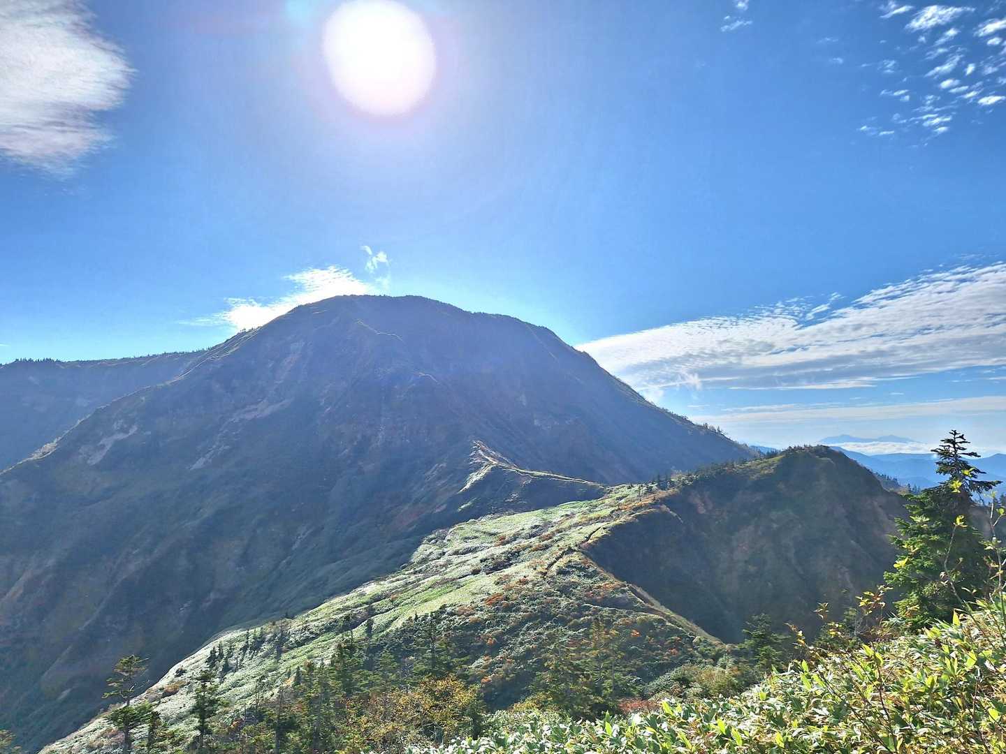 美しい登山道✨