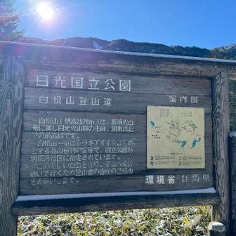 こここらスタート