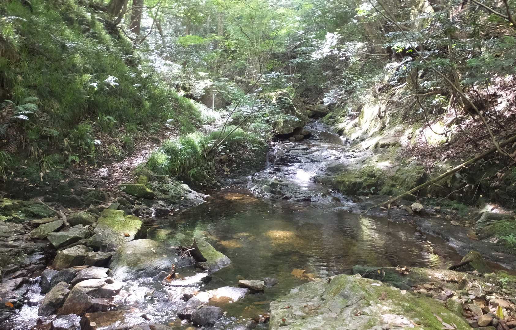 気持ちの良い場所。ここで行きも帰りも休憩しました。