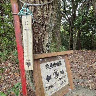 海上の森も人が少なく　小鳥🐦の囀ずりが心安らぐ〰️🥰