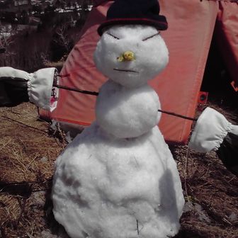 おおもりのくまさん