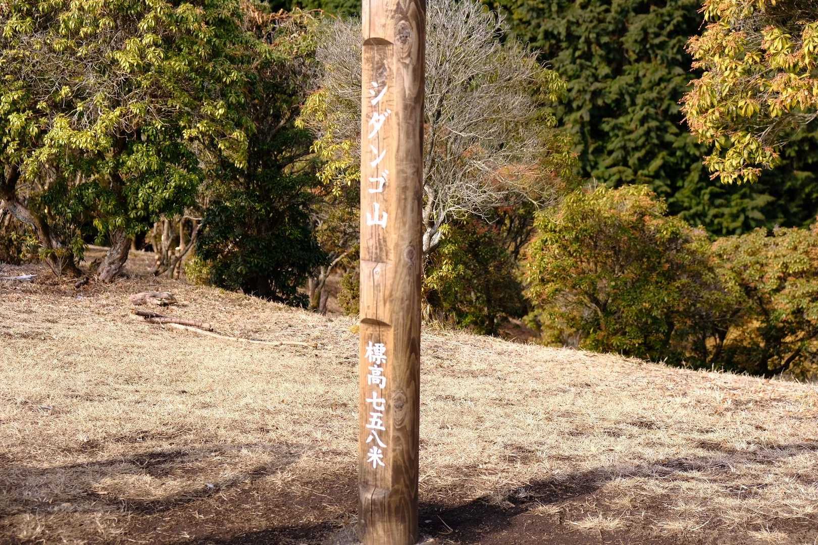 寄バス停-シダンゴ山-タコチバ山 周回コースの写真