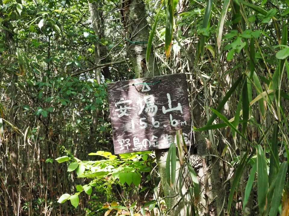 安場山の写真