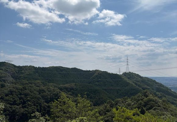 二上山〜キヌガサタケ初対面 / fujicoの登山データ | YAMAP / ヤマップ