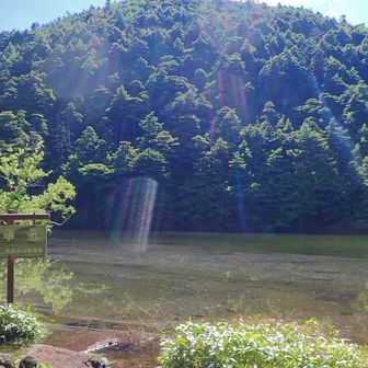 亀甲池