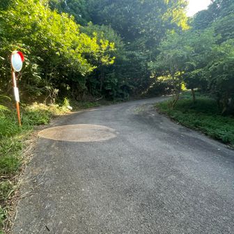 ボヤッと歩いてたら行き過ぎた