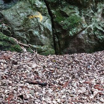 分かりやすい。ありがとうございます。こういう印が沢山あるので登りやすいです。