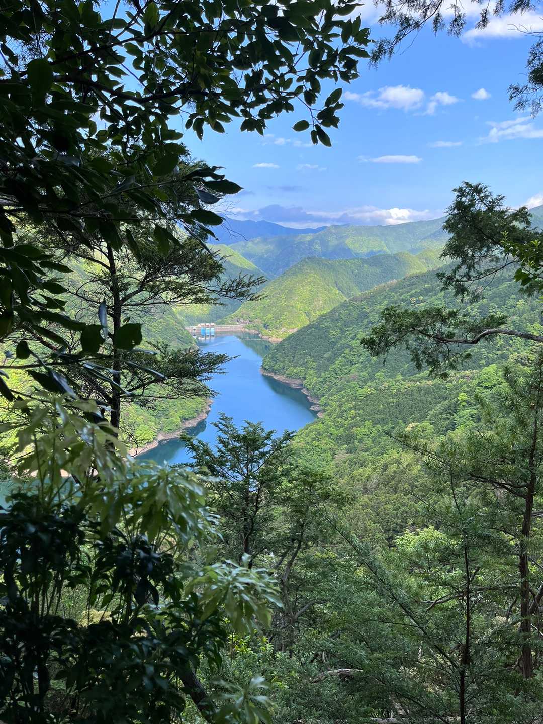 大和谷橋登山口-大杉国見山 往復コースの写真