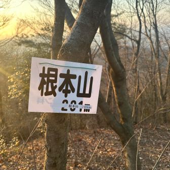 7mも変更あり。