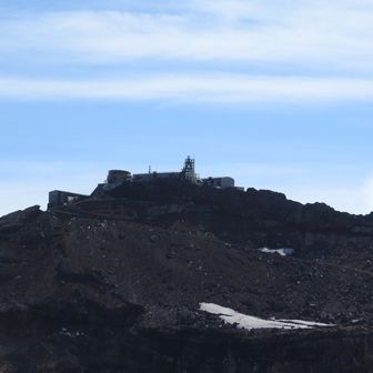 aragene-papa