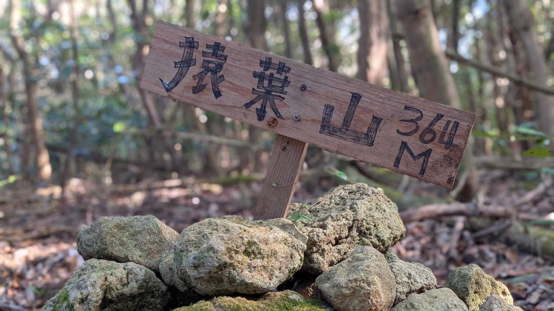 岩を登ってしまえば楽々な登山道でした^^;
気がつけば山頂へ
猿葉山(さるばやま)とうちゃこ。
山頂標識はルートより少し入ったところでした。