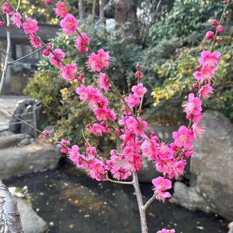 神社に到着⛩️楽しかった