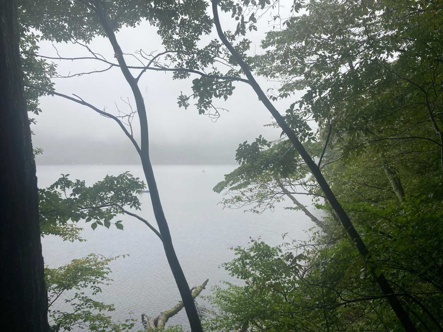 霧？に煙る榛名湖