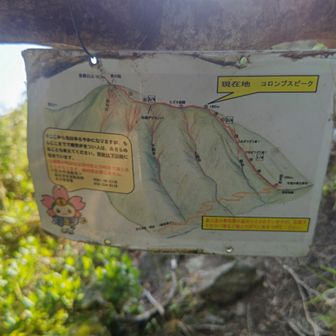 能郷白山からさらにコロンブスピークを目指す
見張らしはあったけど、他の看板は見当たらず
名前は一丁前なのになあ
（名前の由来は、標高1492Mとコロンブスがアメリカ大陸を発見した年1492年が同一のためだとか。単純明快だけど、それでいいのか？😆）